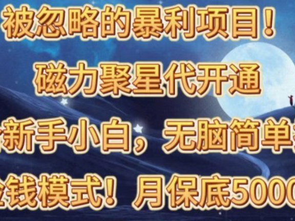 被忽略的暴利项目！磁力聚星代开通捡钱模式，轻松月入五六千