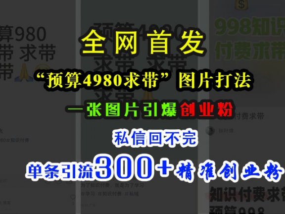 小红书“预算4980带我飞”图片打法，一张图片引爆创业粉，私信回不完，单条引流300+精准创业粉