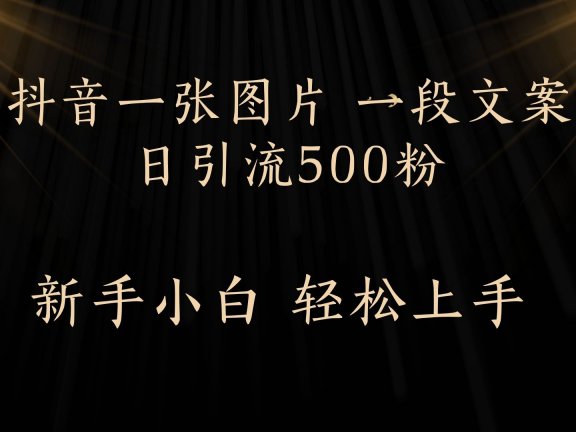 每天2分钟，抖音一张图片 一段文案日引流500粉