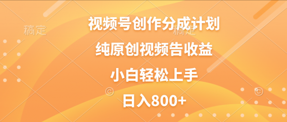 视频号创作分成计划,纯原创视频告收益,新手小白轻松上手,日入800+