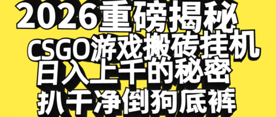 2026开年重磅解密，CSGO游戏搬砖挂机日入上千的秘密，把倒狗的底裤扒干净，毫无保留